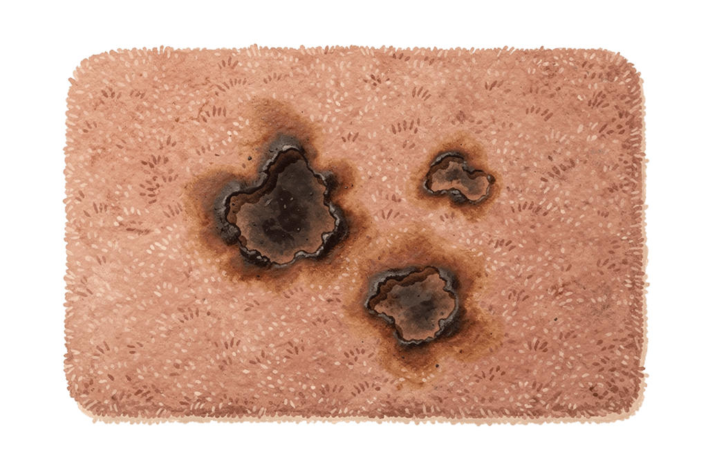 Scorch marks burnt into the carpet