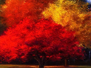 Autumn Road Through the Forest, 2015