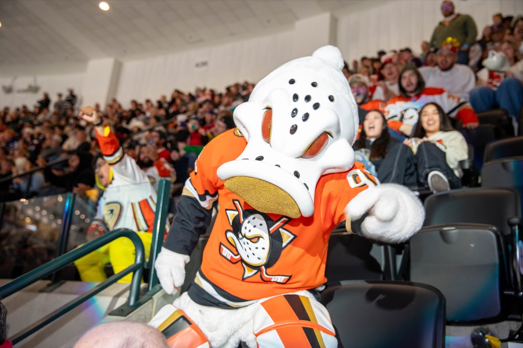 Wild Wing points at the camera from amongst fans in the stands of Honda Center during an Anaheim Ducks game.