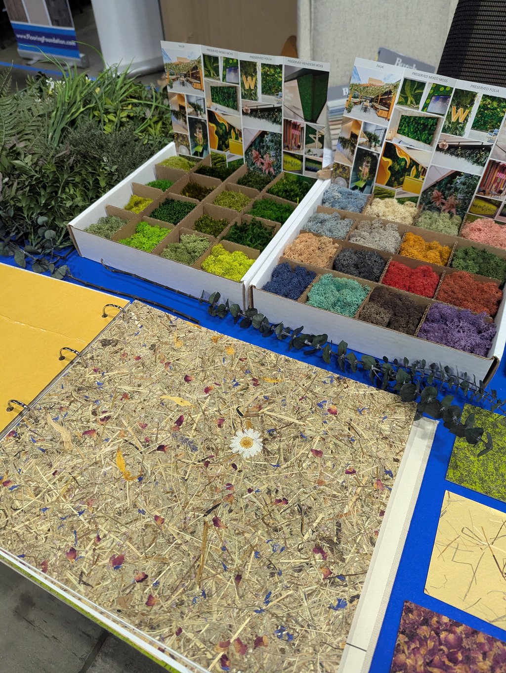 Trays of preserved moss and lichen samples beside a straw and pressed petal sample board