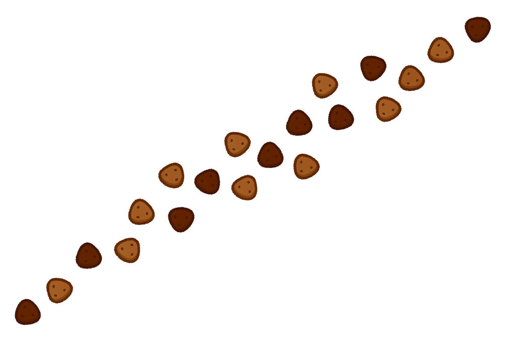 A trail of kibble leading out of the kitchen back toward the main hall