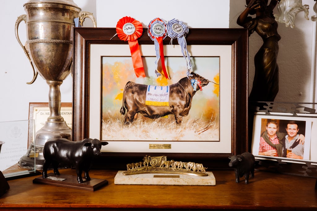 Shelf display with a framed painting of a prize bull, rosette ribbons, a cup trophy, and small bull figurines