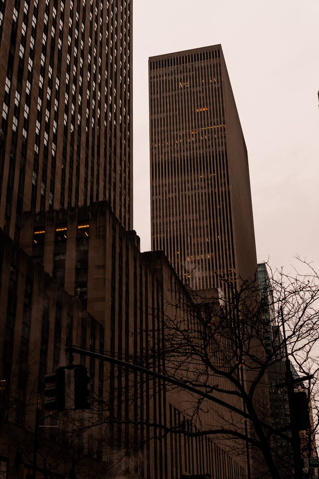 Low-angle view of tall office skyscrapers against an overcast sky framed by leafless tree branches
