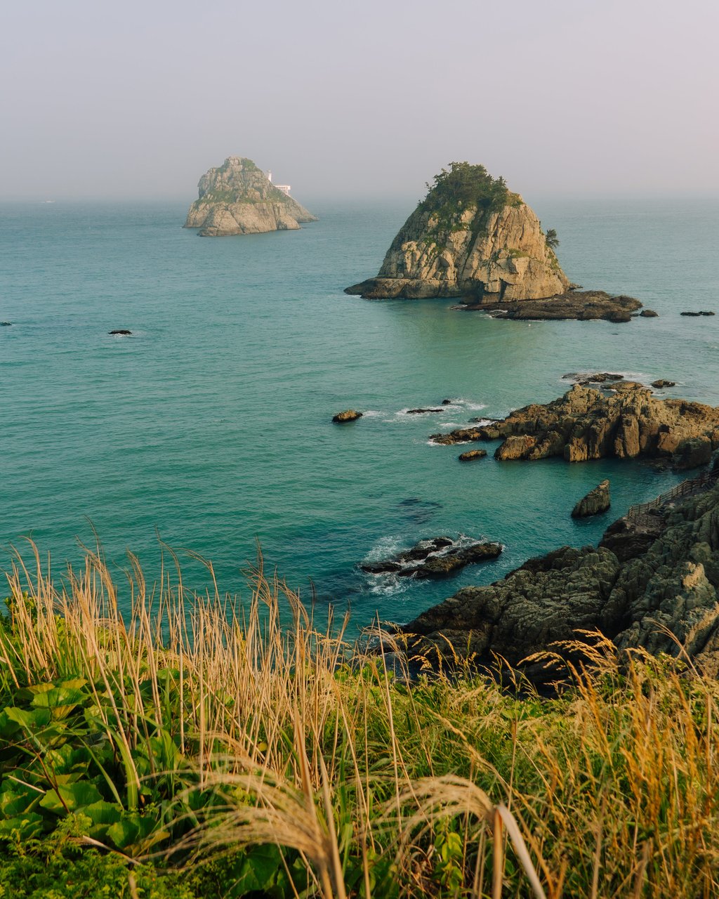 Coastal scene with dry grasses in the foreground and rocky islets rising from a turquoise sea