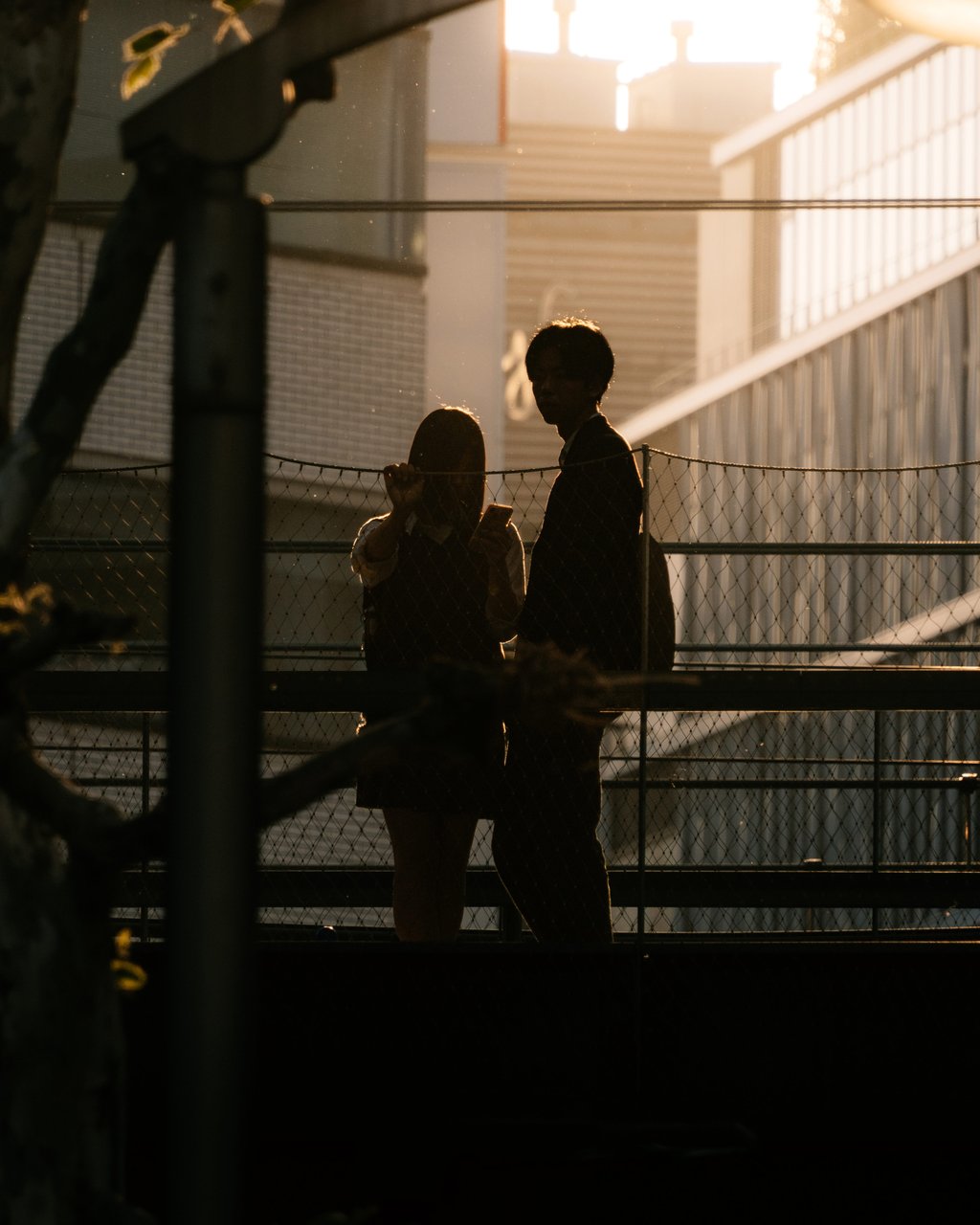 Silhouetted pair standing behind a chain-link fence at golden hour, one holding a phone