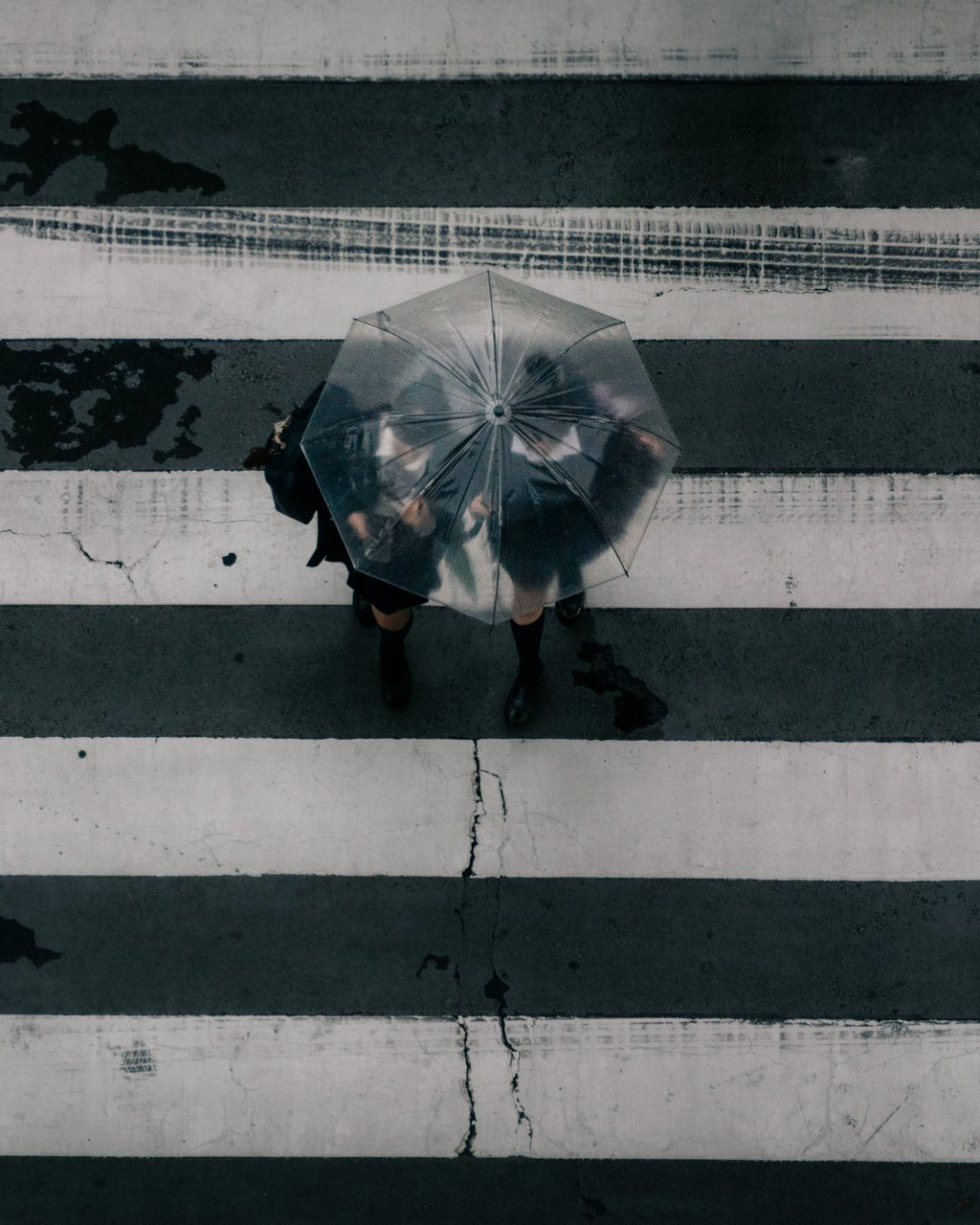 Top-down view of a person on a striped crosswalk holding a transparent umbrella in the rain