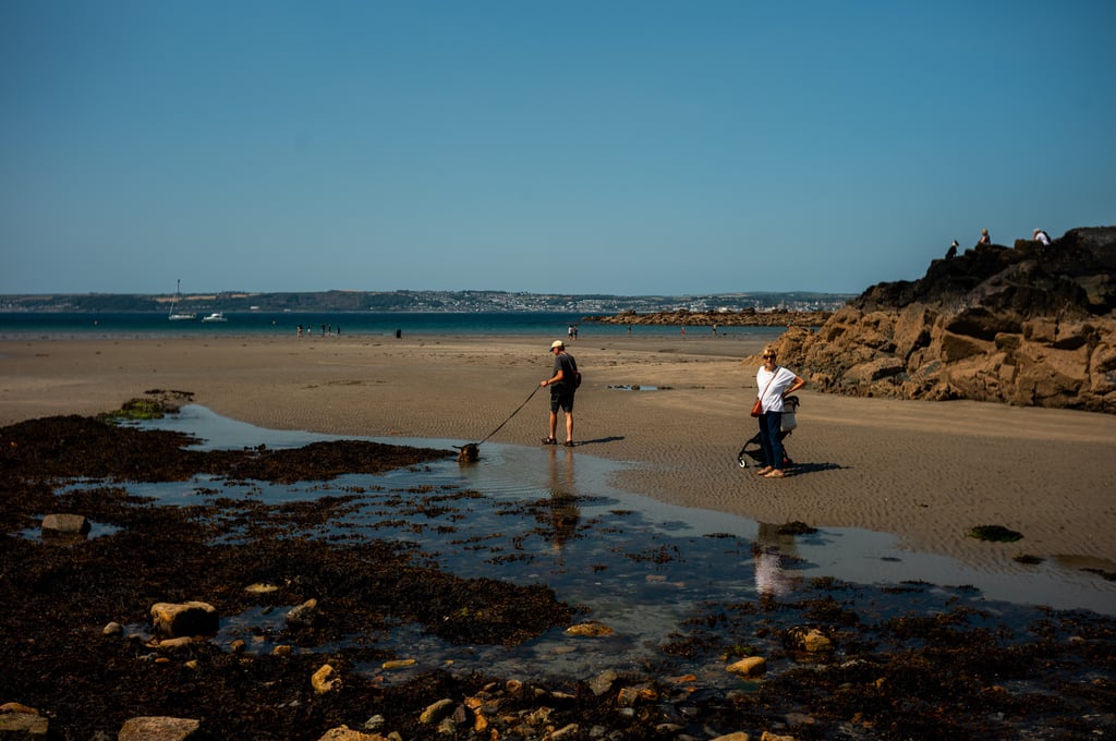 Low-tide beach with a man walking a dog through shallow water, sailboats on the calm sea and a distant town