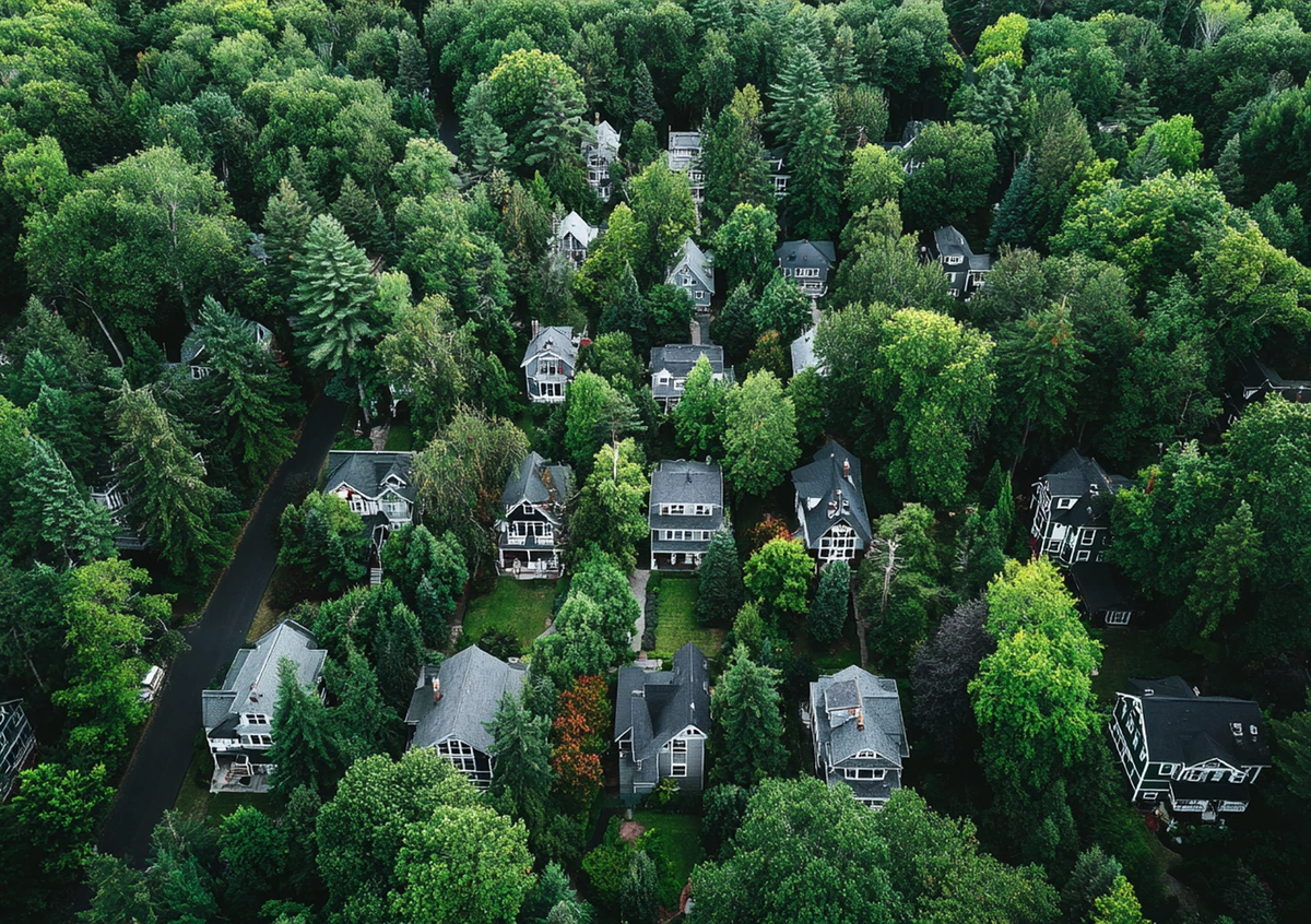 Aerial view of suburban homes and trees