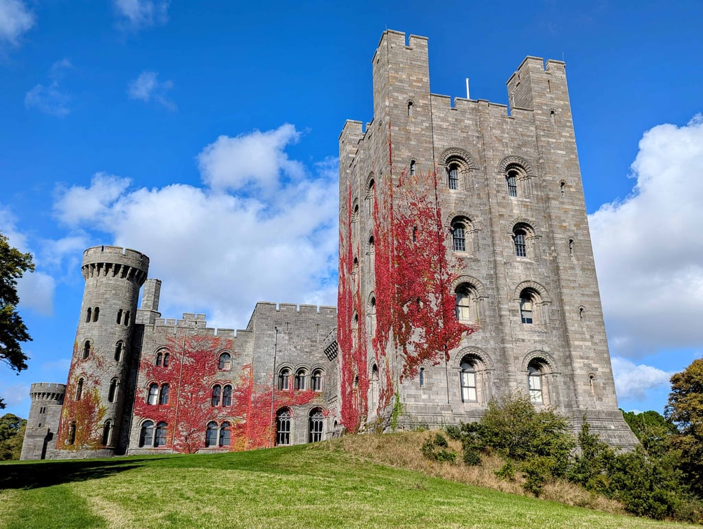 Red Virginia creeper climbing the walls of Penrhyn Castle, Gwynedd.