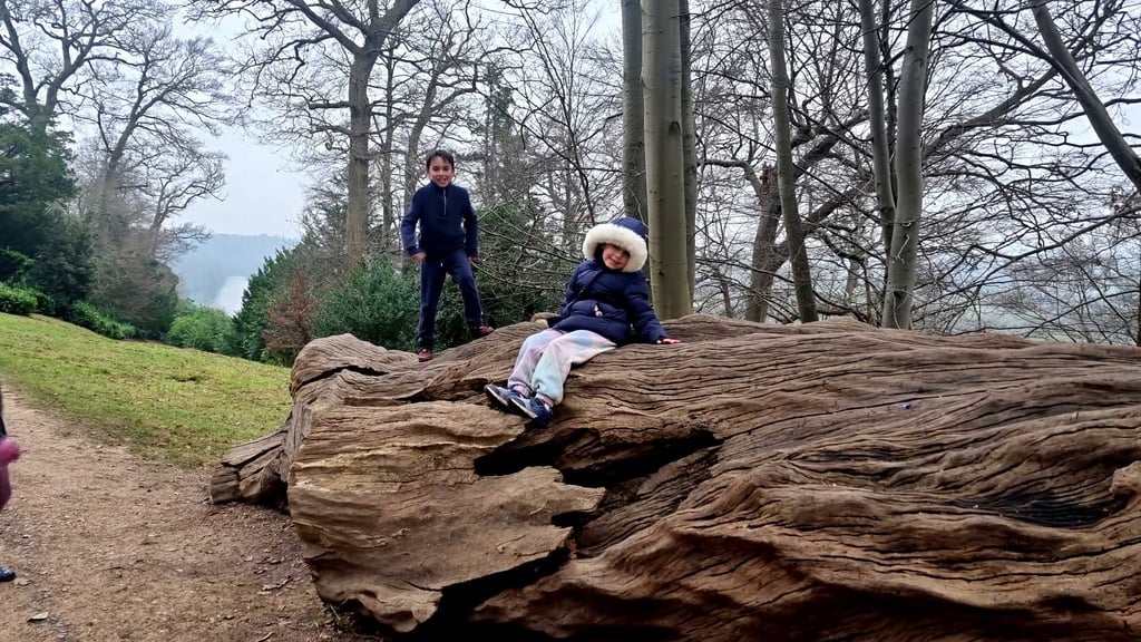 Two children in winter clothing sitting on a large fallen tree.