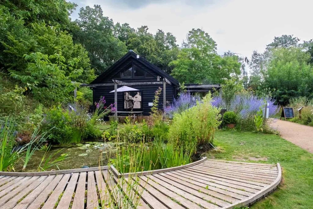 A shed, pond and bridge surrounded by greenery in Flatford Wildlife Garden.