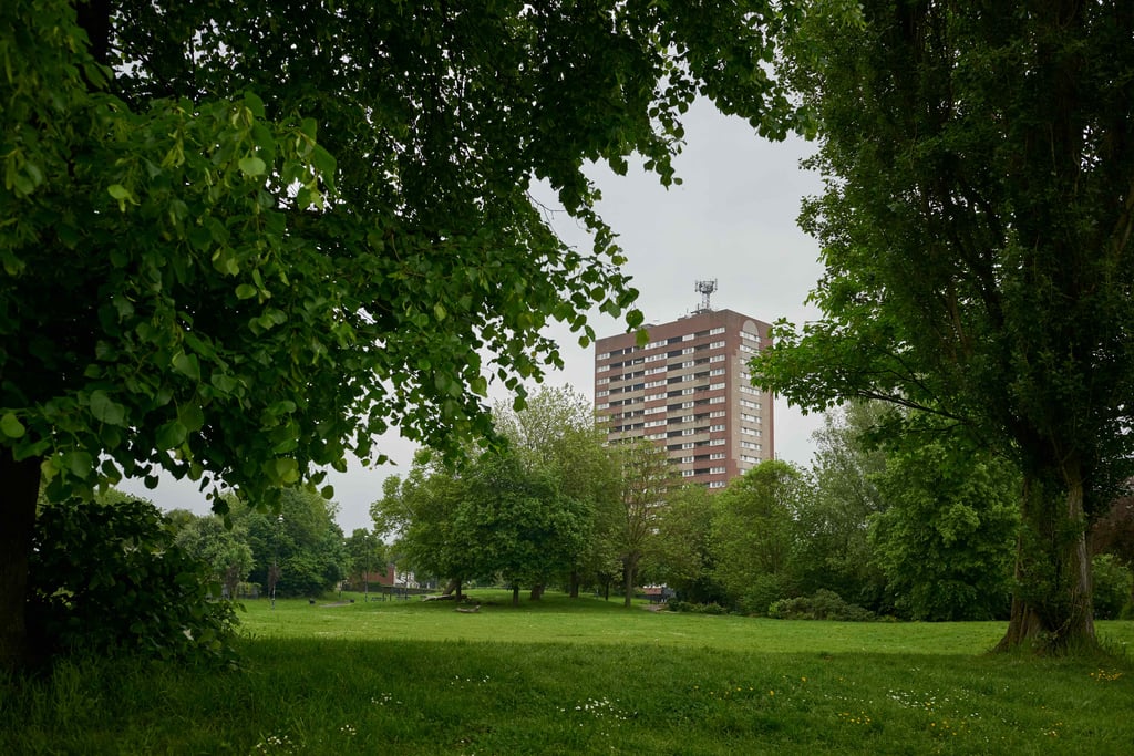Green park with trees in the foreground and a block of flats in the background.