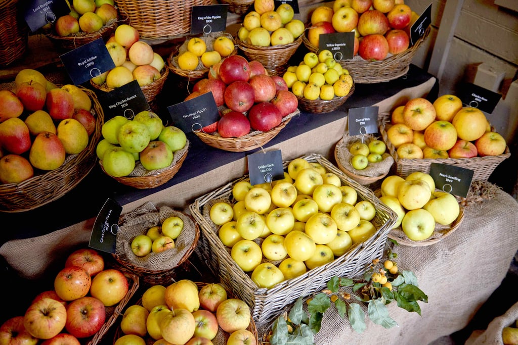 Baskets of various apples for sale. 