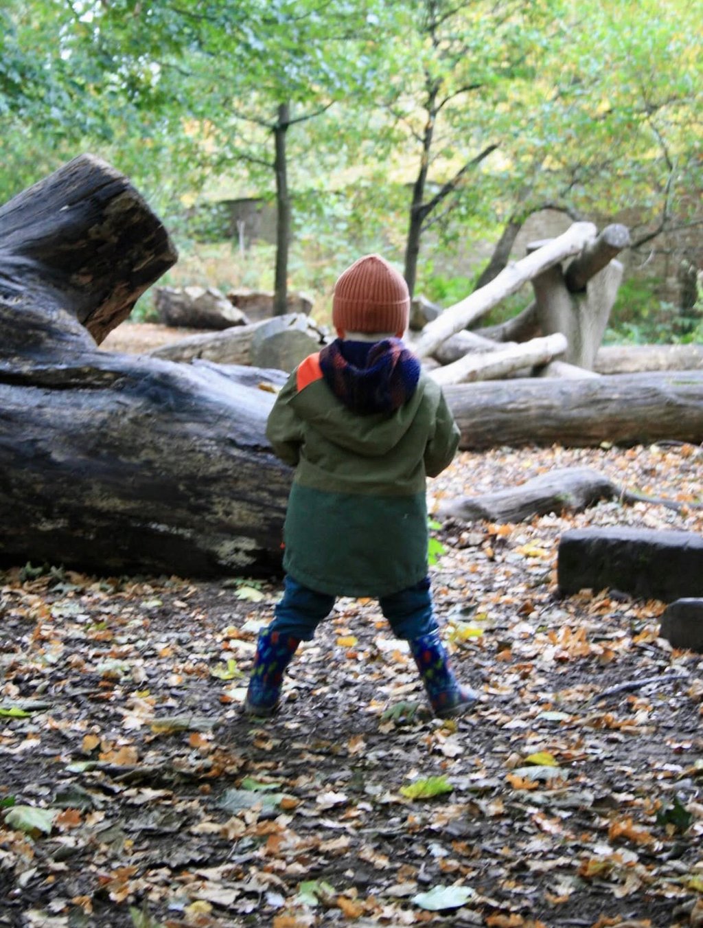 Child playing in woodland area.