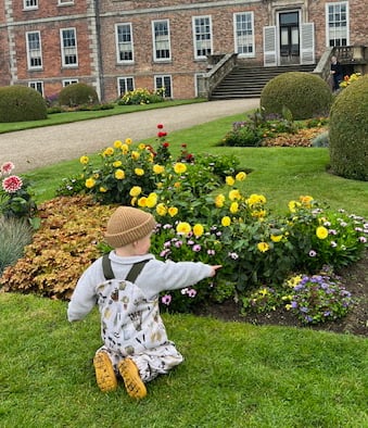 Child kneeling in front of flowers in garden. 