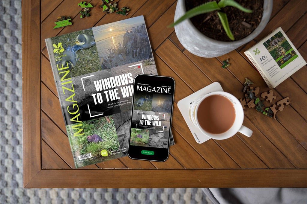 National Trust Magazine in print and digital formats displayed on a table beside a cup of tea.
