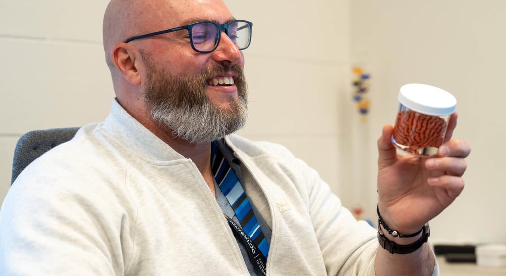 Travis Craddock examines a miniature model of a brain in a jar while seated at his desk.